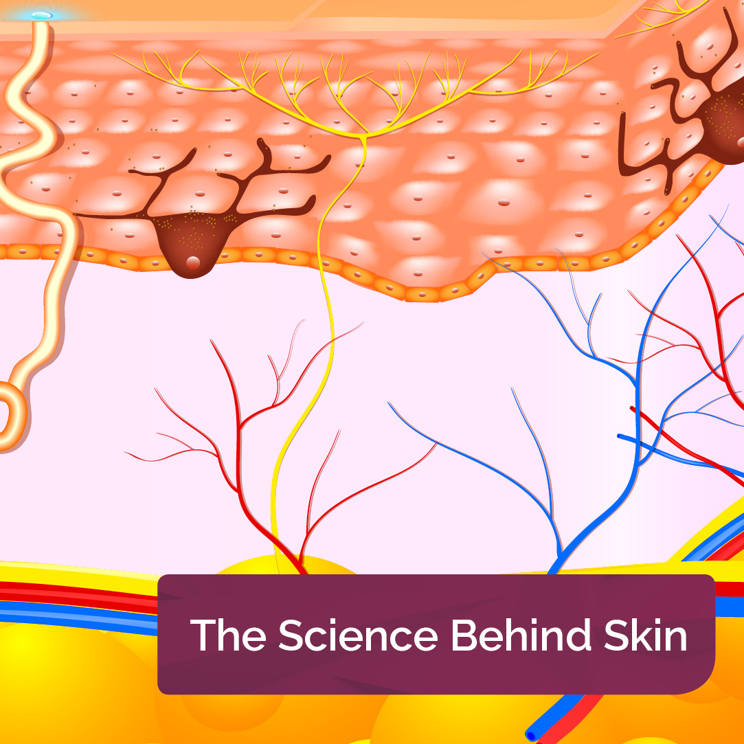 Skin Health