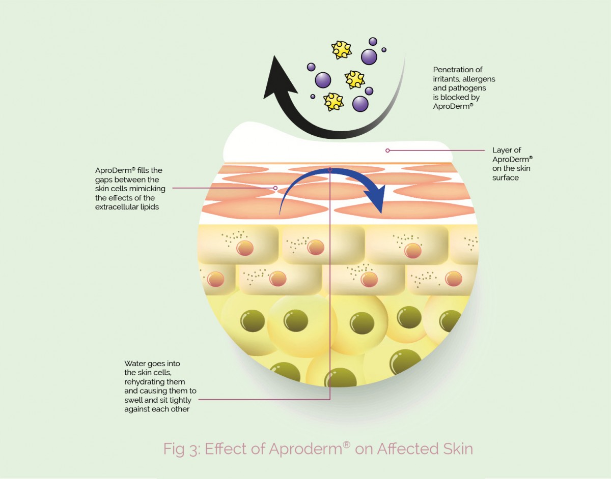 Affect on Skin - what is Affect on Skin - what is